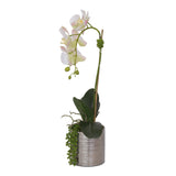 Jenny Silks Real Touch White Phalaenopsis Orchid with Succulent Flower Arrangement in Round Cylinder Silver Etched Ceramic Pot #F-122