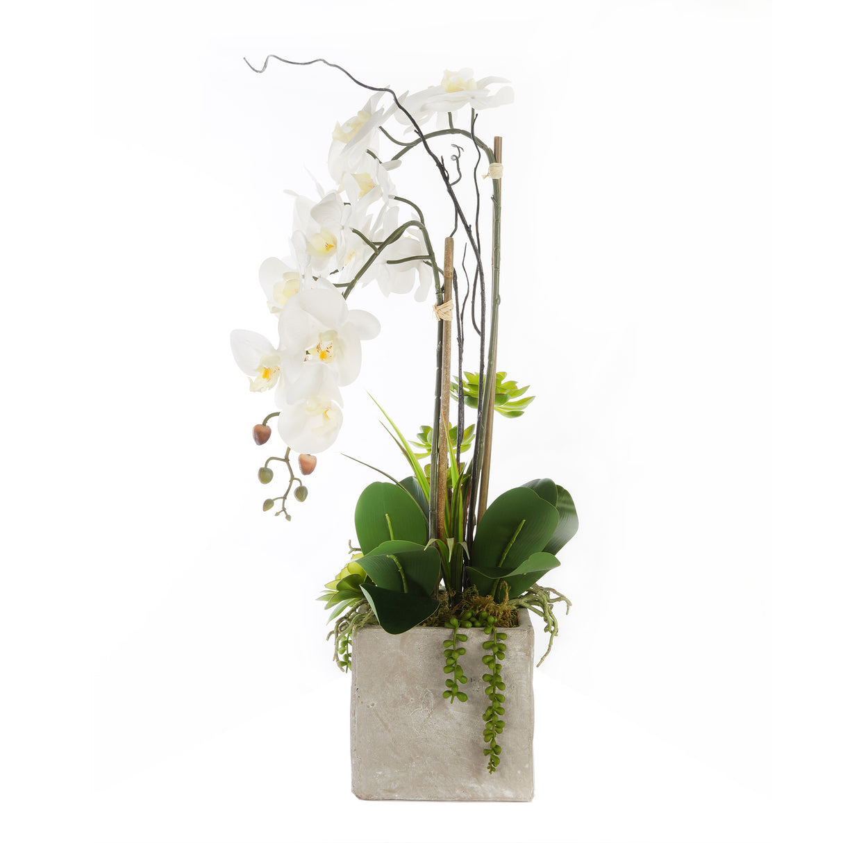 Real Touch White Orchids & Succulents in Square Cement Pot #F-170