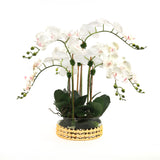 Sophisticated White Silk Real Touch Orchid Arrangement in a Glass Gold Round Bowl#F-175
