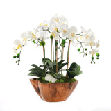 White Real Touch Phalaenopsis Orchids in Rustic Teak Bowl #F-187