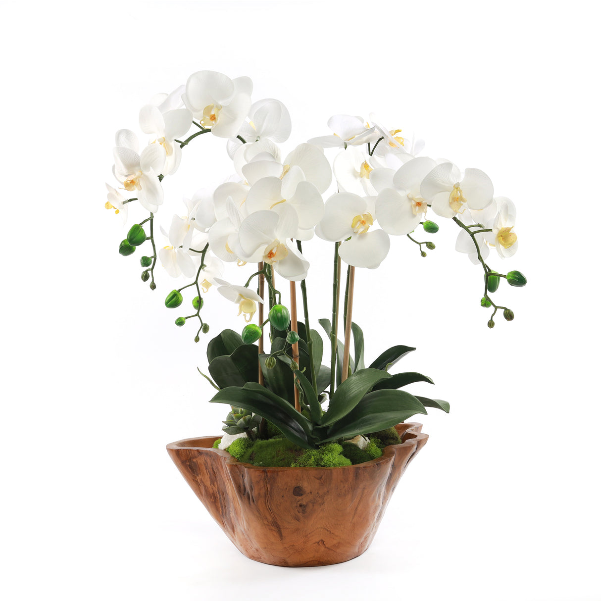 White Real Touch Phalaenopsis Orchids in Rustic Teak Bowl #F-187