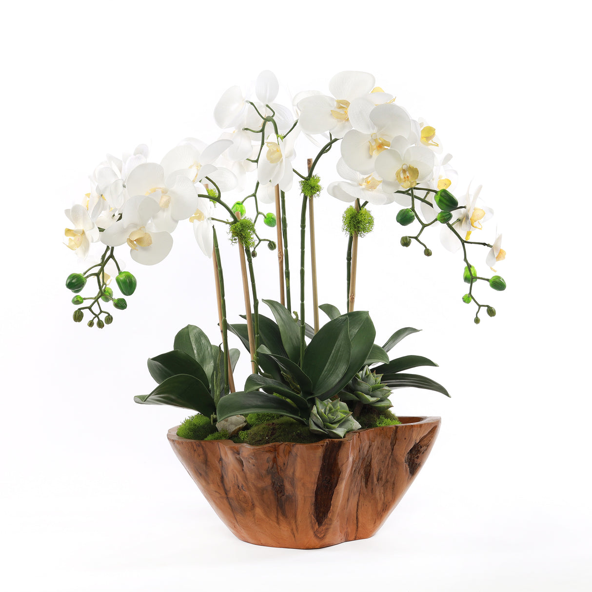 White Real Touch Phalaenopsis Orchids in Rustic Teak Bowl #F-187