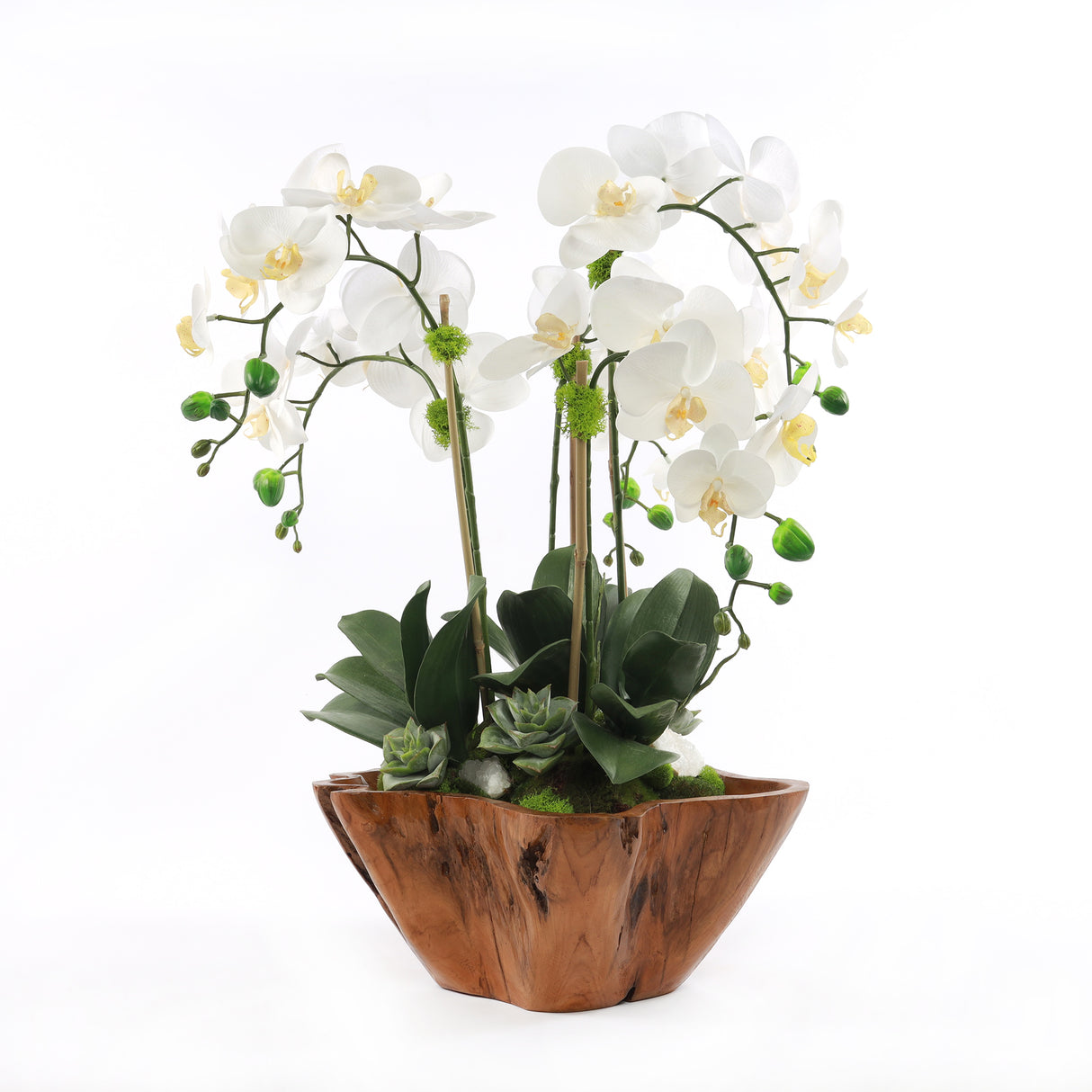 White Real Touch Phalaenopsis Orchids in Rustic Teak Bowl #F-187