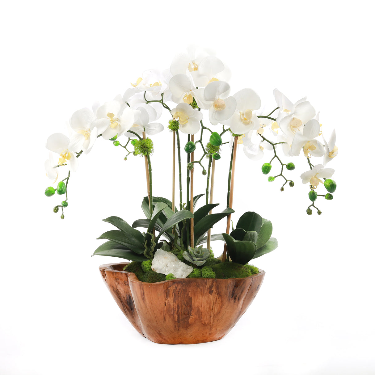 White Real Touch Phalaenopsis Orchids in Rustic Teak Bowl #F-187