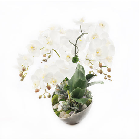 Cream White Real Touch Phalaenopsis Orchids in Large Metal Tray #F-189