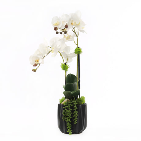 Modern Cream White Faux Orchids Arrangement in Black Matte Ceramic Pot #F-191