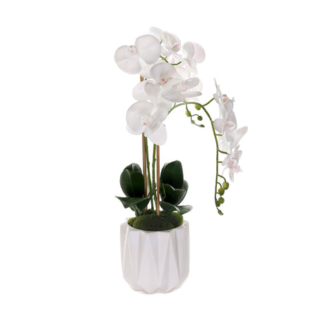 Real Touch Phalaenopsis Orchids in White Dimensional Pot#F-198