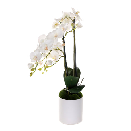 Real Touch Phalaenopsis Orchids in White Cylinder Pot#F-202