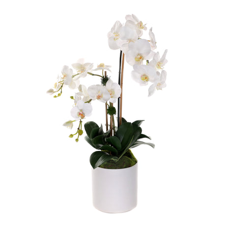 Real Touch Phalaenopsis Orchids in White Cylinder Pot #F-203