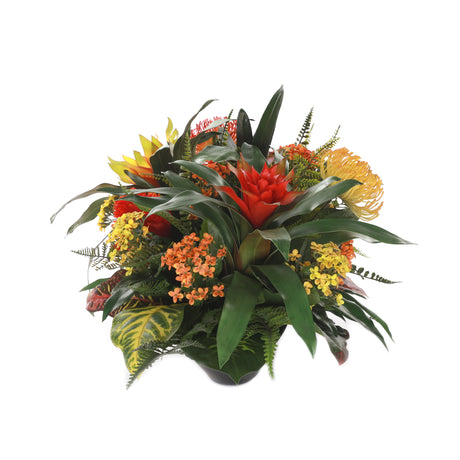 Bromeliad Tropical Flowers Arrangement In Oval Zinc Pot #F-206