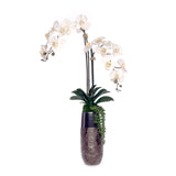 Real Touch Phalaenopsis Orchids in Metallic Ceramic Vase #F-208
