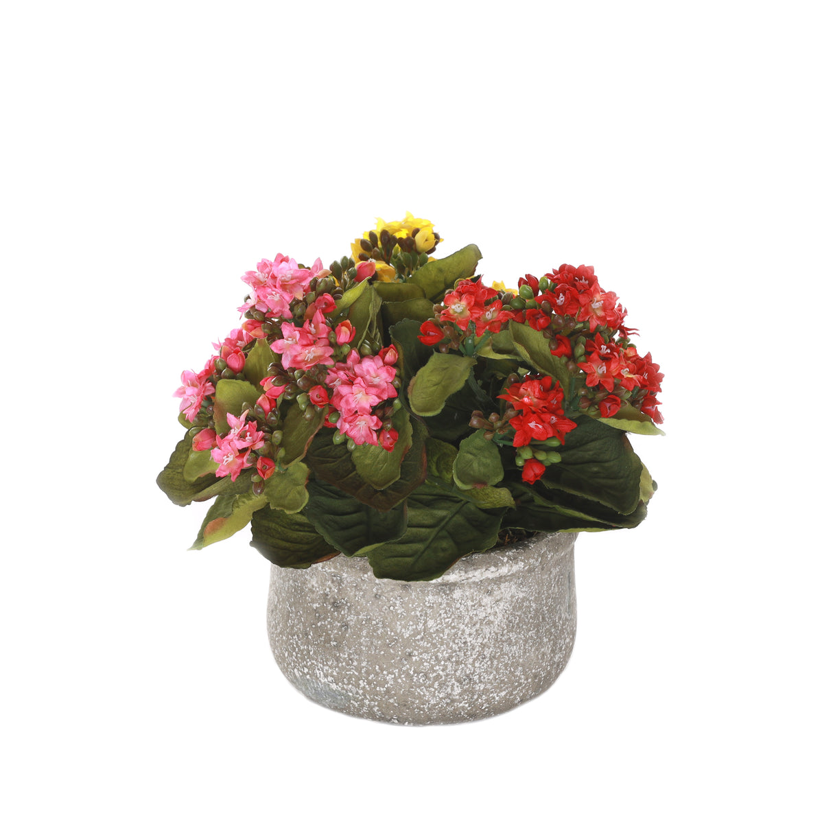 Kalanchoe Silk Flower Bushes Red Rose Yellow in Stone Round Pot #F-212
