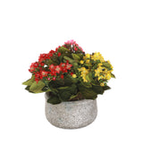 Kalanchoe Silk Flower Bushes Red Rose Yellow in Stone Round Pot #F-212