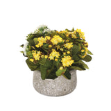 Kalanchoe Silk Flower Bushes White, Yellow in Stone Round Pot #F-214