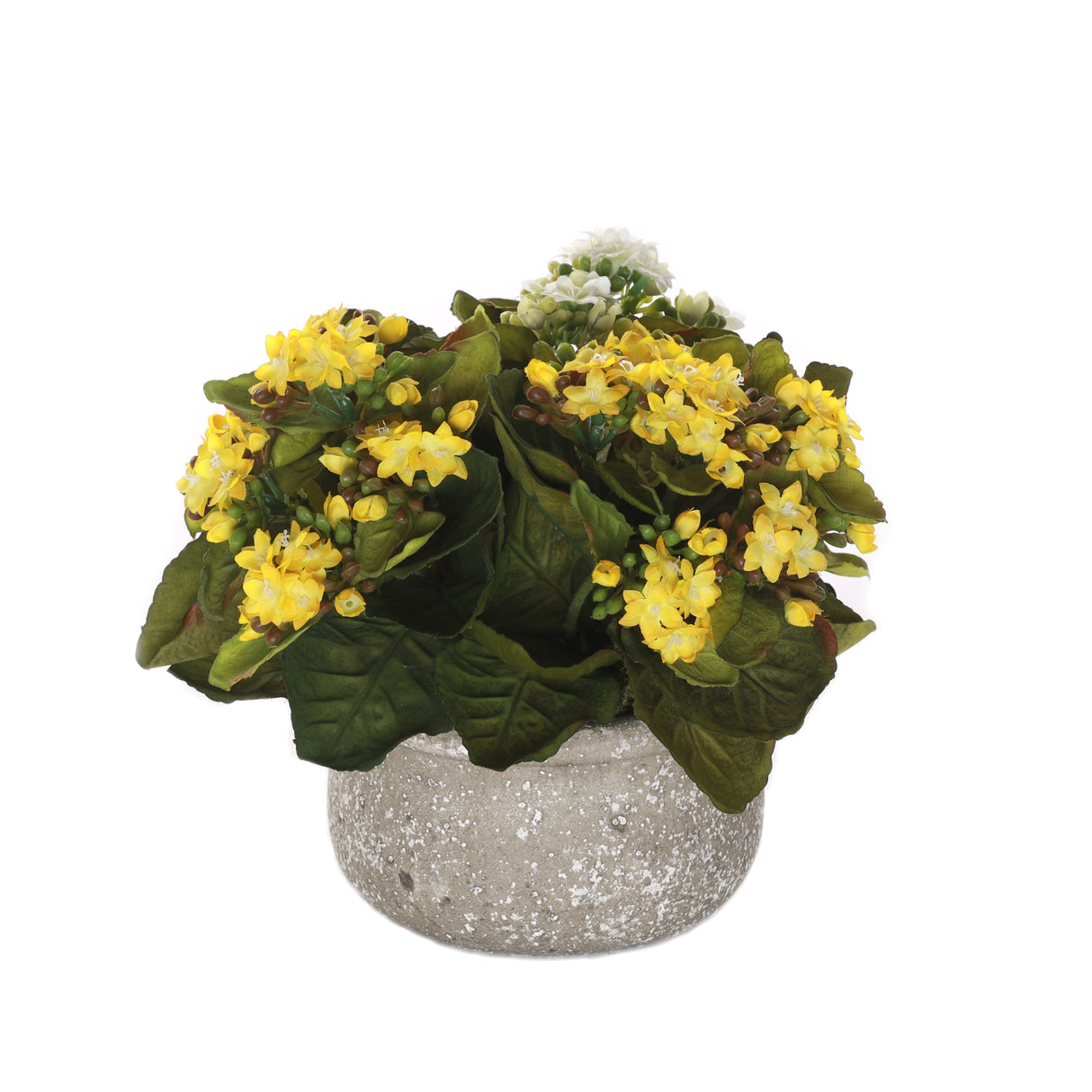 Kalanchoe Silk Flower Bushes White, Yellow in Stone Round Pot #F-214