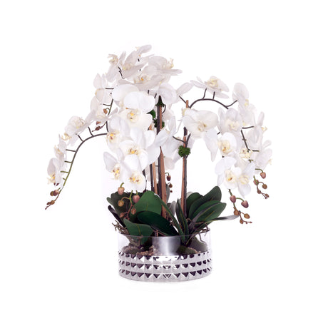 Real Touch Phalaenopsis Orchids /Moss/pebbles in Glass Silver Bowl #F-222