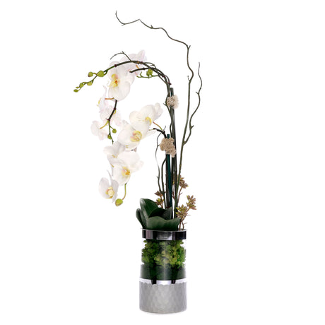 White  Phalaenopsis Orchid Flower Arrangement in Round Silver Cylinder Glass Vase #F-227