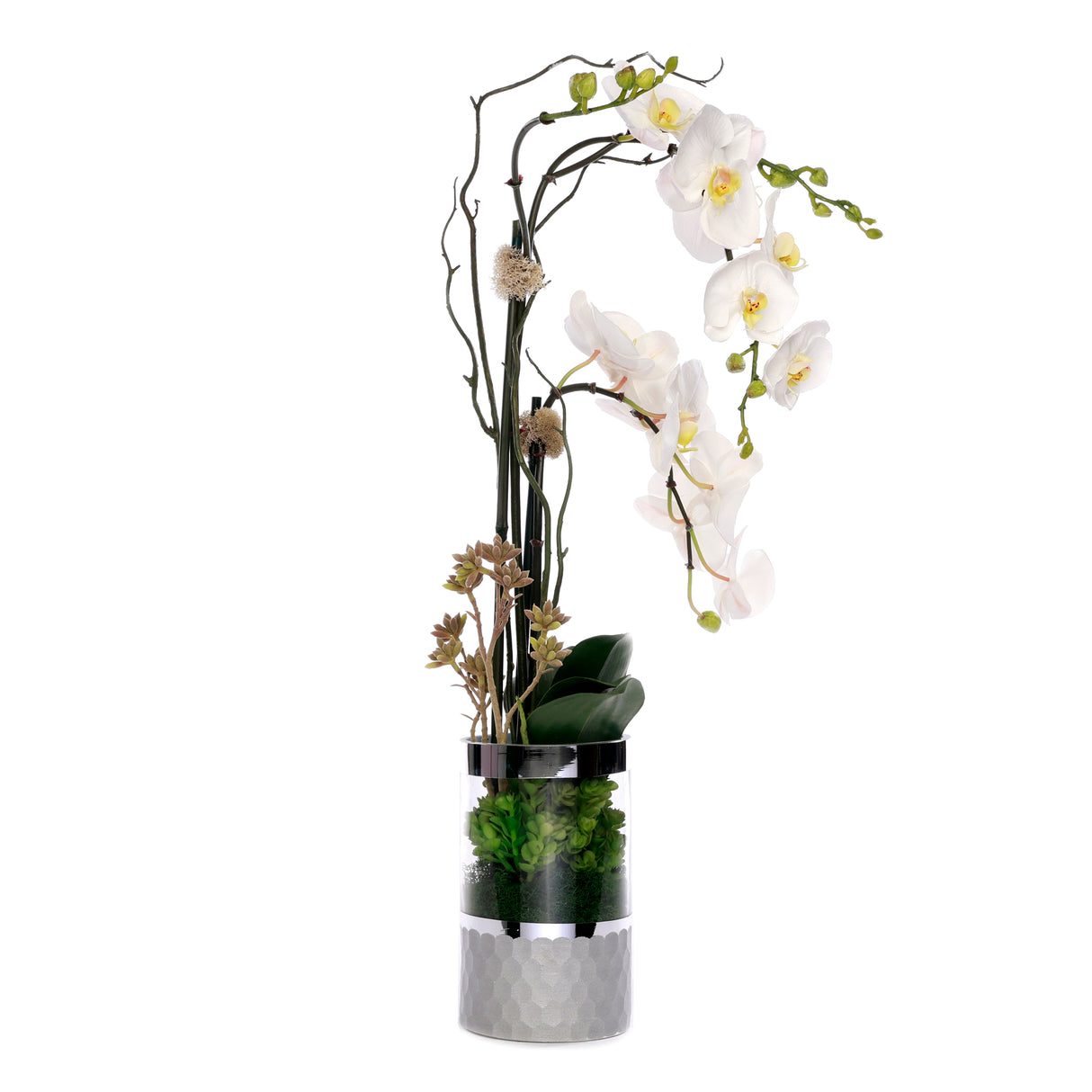 White  Phalaenopsis Orchid Flower Arrangement in Round Silver Cylinder Glass Vase #F-227