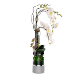 White  Phalaenopsis Orchid Flower Arrangement in Round Silver Cylinder Glass Vase #F-227