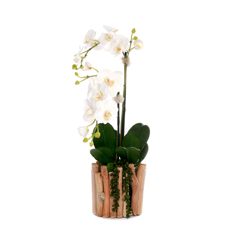 Real Touch Orchids in Glass Vase Wood Branches Planter #F-229