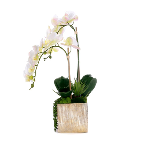 Real Touch Orchid Flower Arrangement in Cube Nickel Pot #F-230