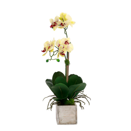 Yellow Real Touch Orchid Flower Arrangement in White Rectangular Pot #F-231