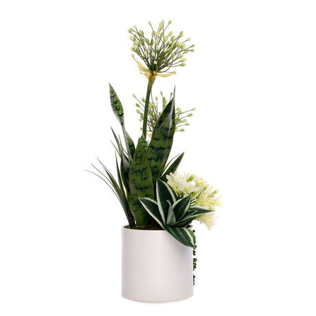 Agapanthus Flower Arrangement in White Cyclinder Planter #F-232