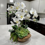 Real Touch 6-Stem Phalaenopsis Orchids with Succulents in Natural Wood Bowl #F-59E