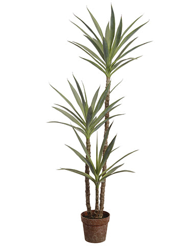 59" Yucca Tree in Plastic Nursery Pot Green #LPY461-GR