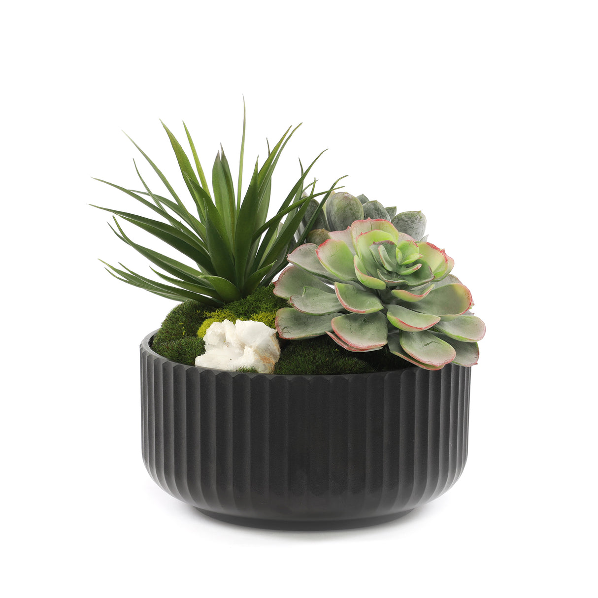 Faux Succulents & Moss Arrangement in Ribbed Black Pot #S-48