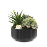 Faux Succulents & Moss Arrangement in Ribbed Black Pot #S-48