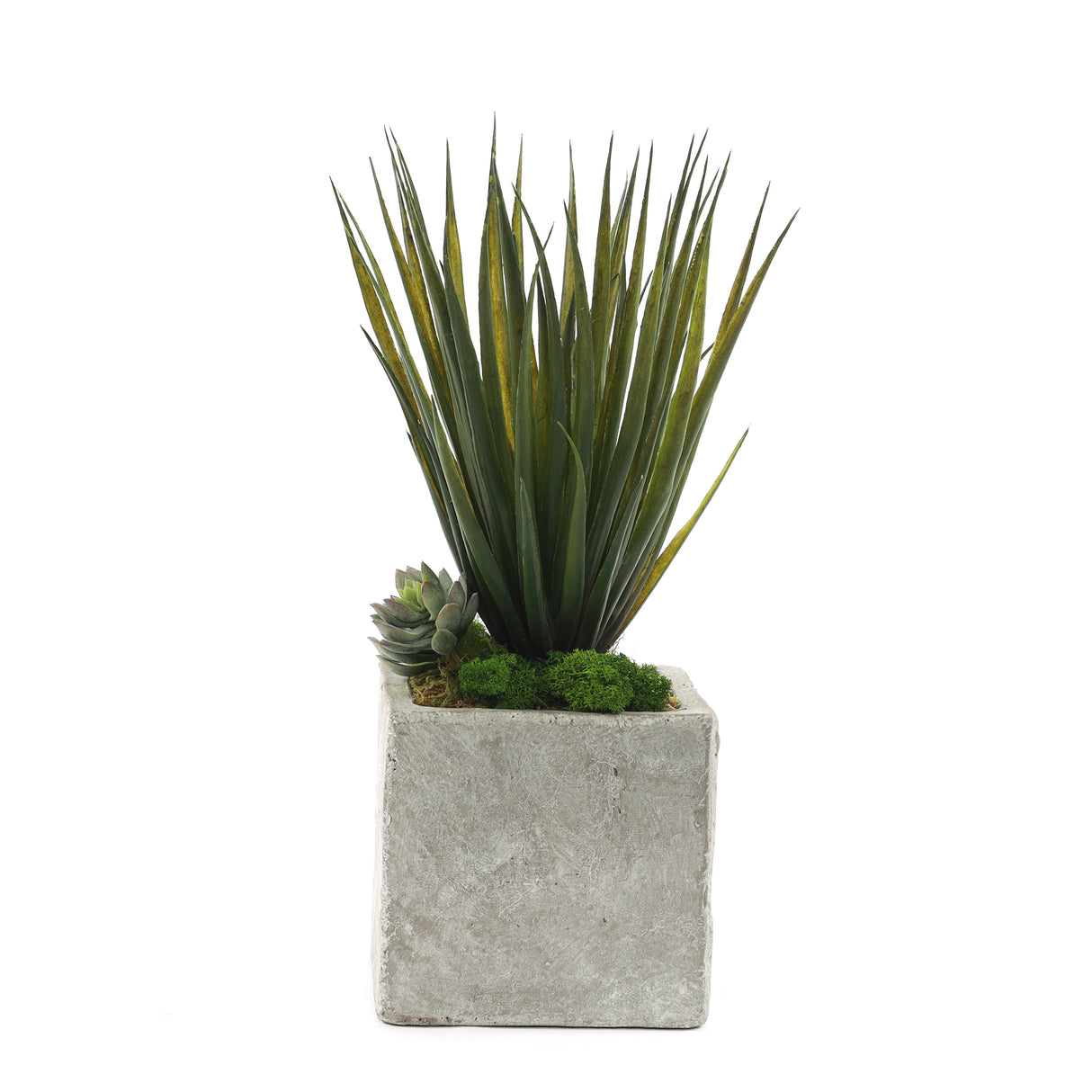 Gorgeous Faux Desert Yucca Plant in Modern Concrete Pot #S-50