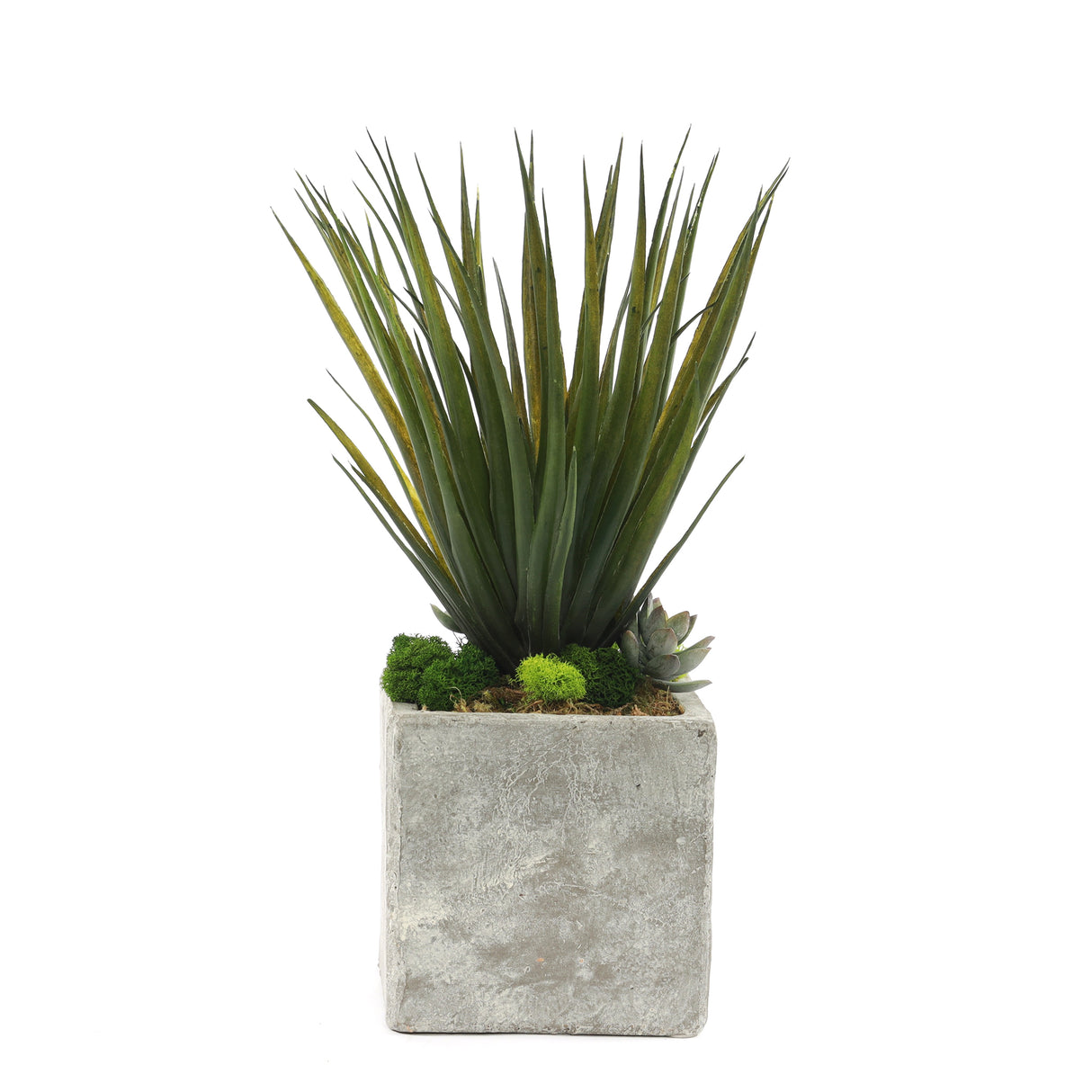 Gorgeous Faux Desert Yucca Plant in Modern Concrete Pot #S-50