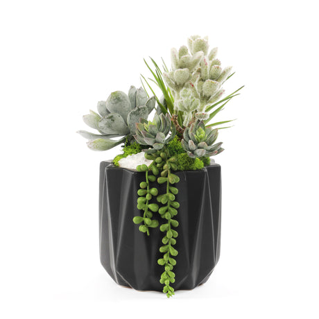 Faux Succulent & Geodes in Black Dimensional Pot #S-51