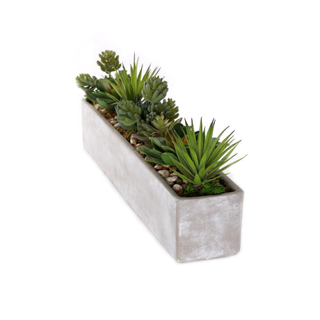 Succulents in rectangular cerement planter#S-53