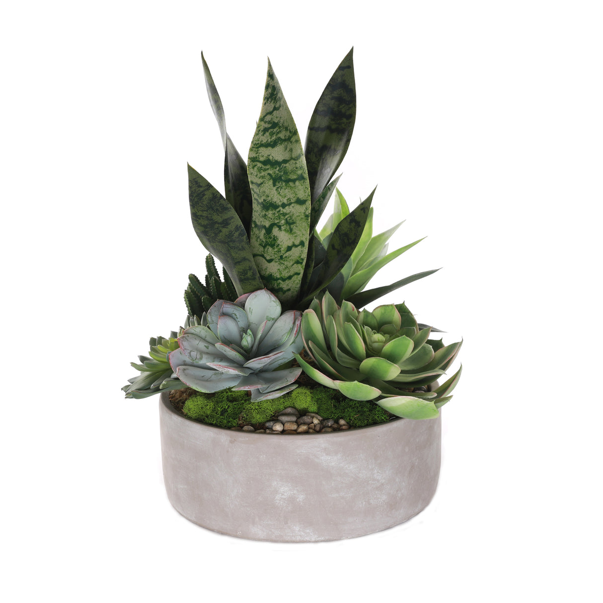 Artificial Succulents with Natural Pebbles in Cement Bowl #S-54