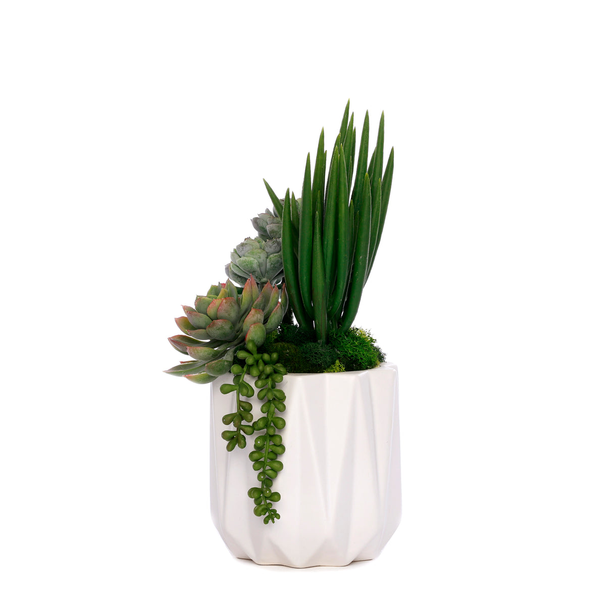 Succulent Arrangement in White Metal Pot#S-55