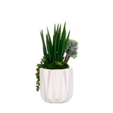 Succulent Arrangement in White Metal Pot#S-55