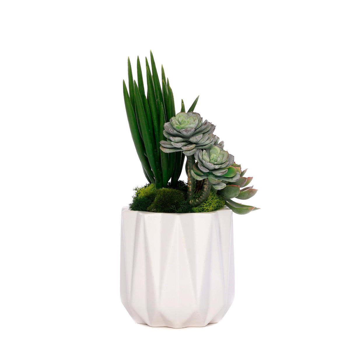 Succulent Arrangement in White Metal Pot#S-55