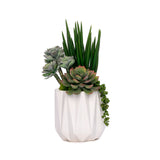 Succulent Arrangement in White Metal Pot#S-55