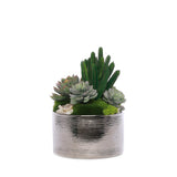 Succulent Arrangement with Geodes and Moss in Sliver Round Pot #S-60