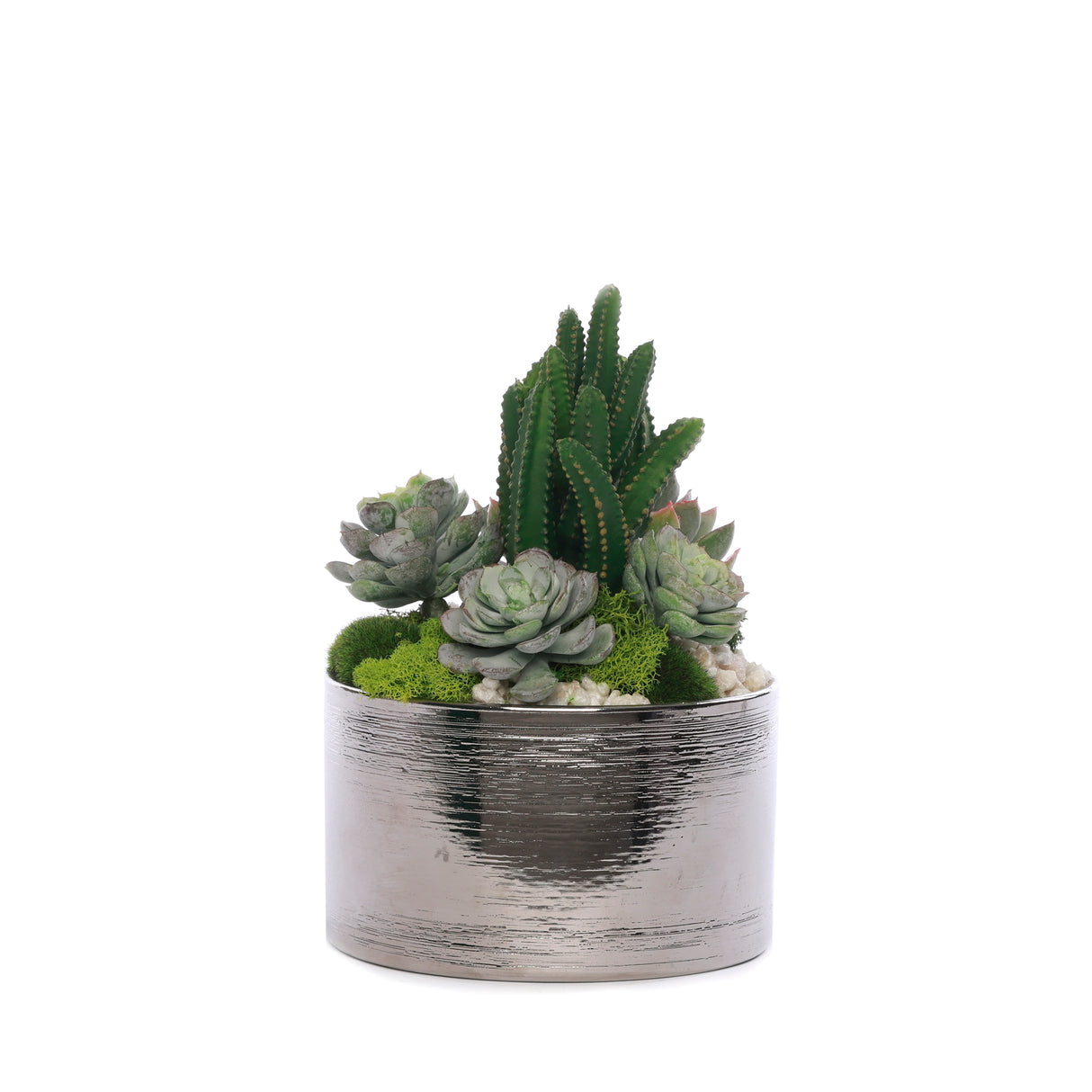 Succulent Arrangement with Geodes and Moss in Sliver Round Pot #S-60