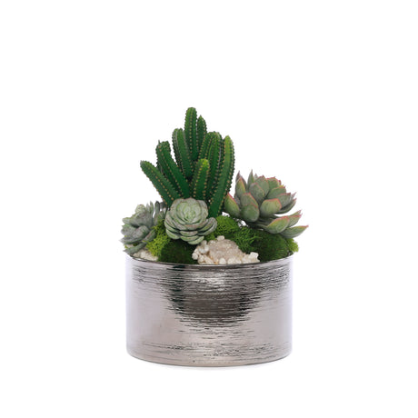 Succulent Arrangement with Geodes and Moss in Sliver Round Pot #S-60