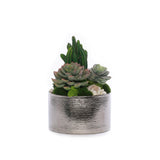 Succulent Arrangement with Geodes and Moss in Sliver Round Pot #S-60