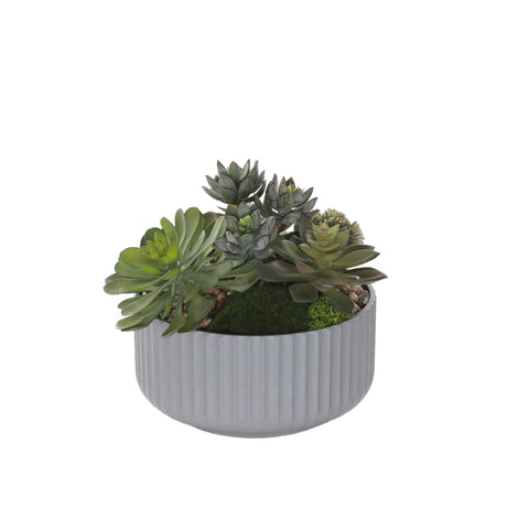 Succulents Arrangement with rocks in Gray Pot #S-61