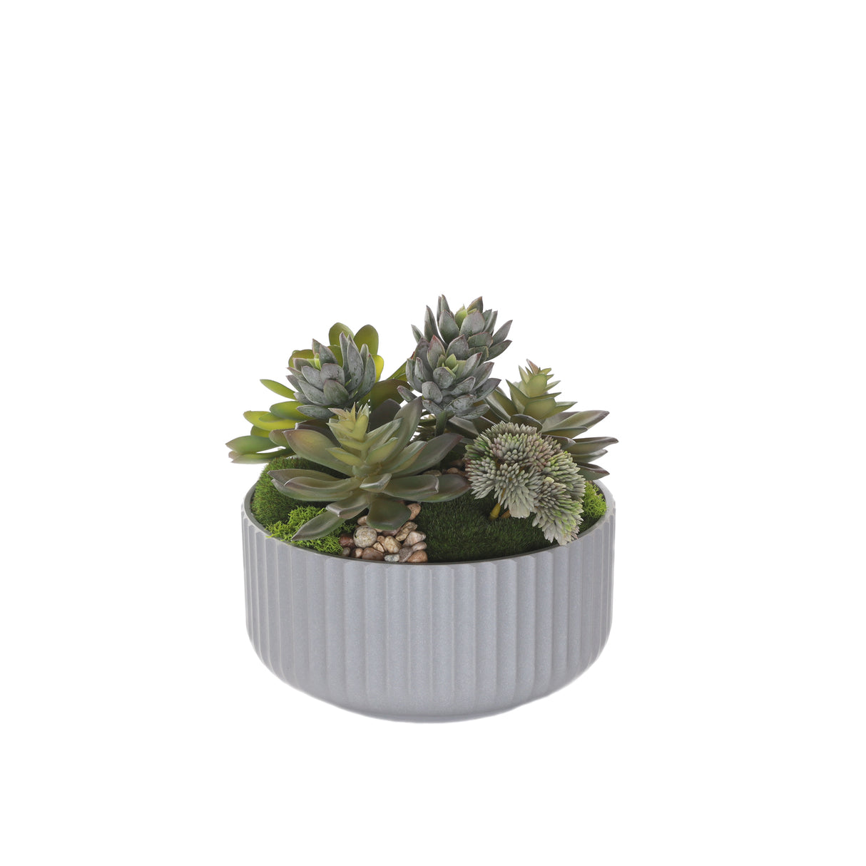 Succulents Arrangement with rocks in Gray Pot #S-61