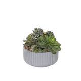 Succulents Arrangement with rocks in Gray Pot #S-61