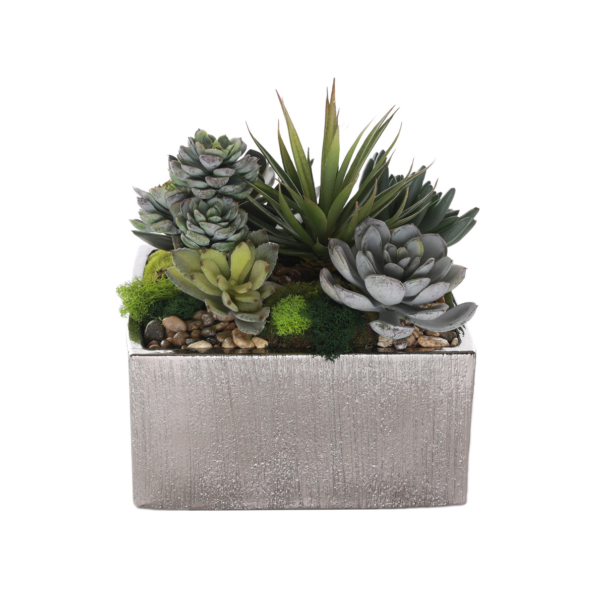 Succulents Arrangement with rocks in Square Etched Sliver Pot #S-62