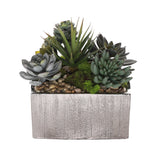 Succulents Arrangement with rocks in Square Etched Sliver Pot #S-62