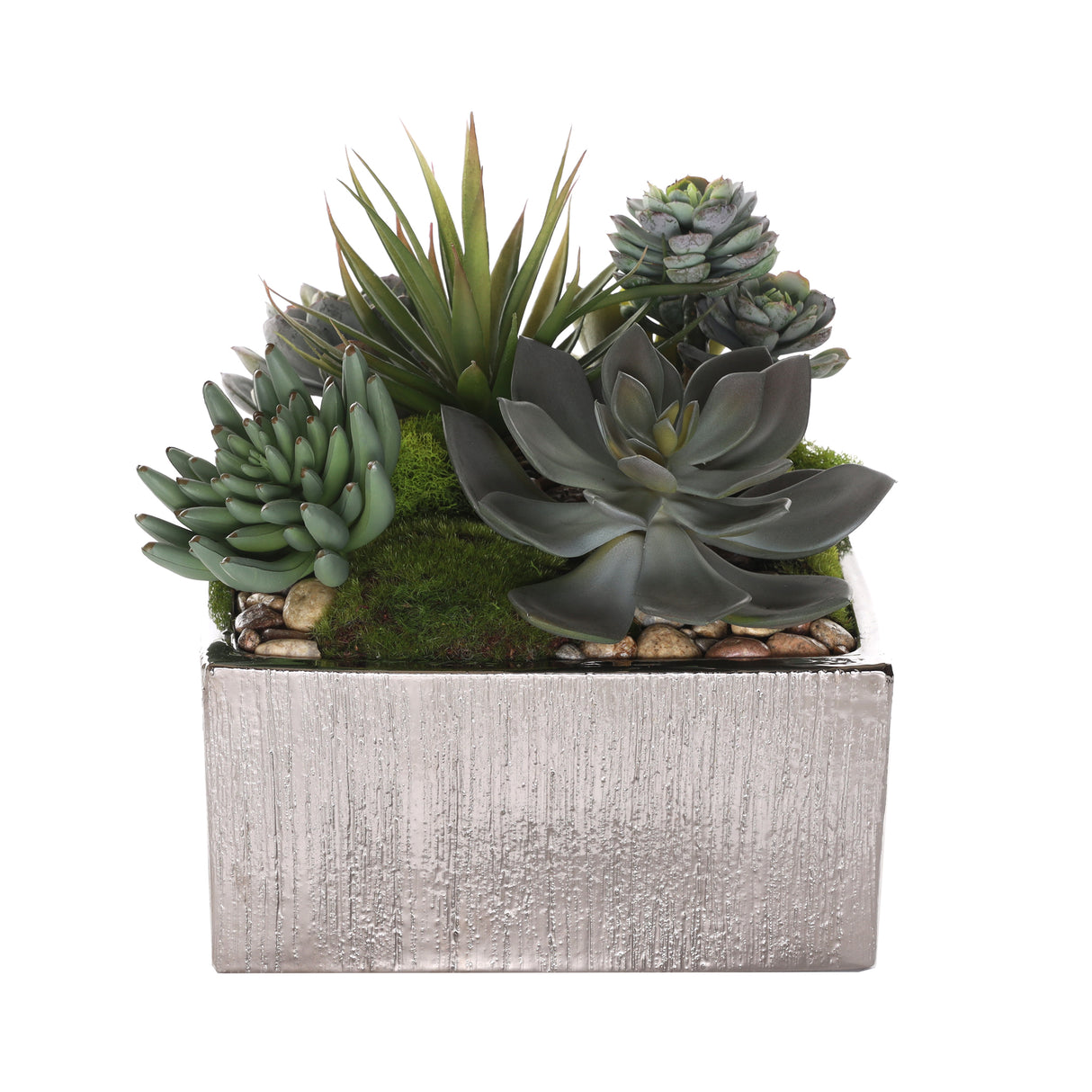 Succulents Arrangement with rocks in Square Etched Sliver Pot #S-62